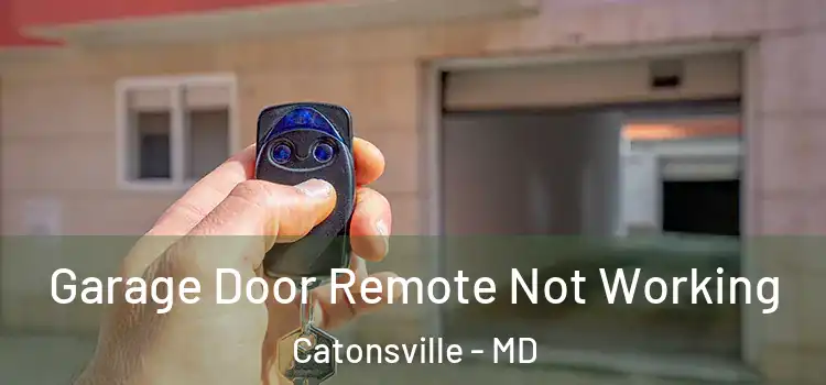  Garage Door Remote Not Working Catonsville - MD