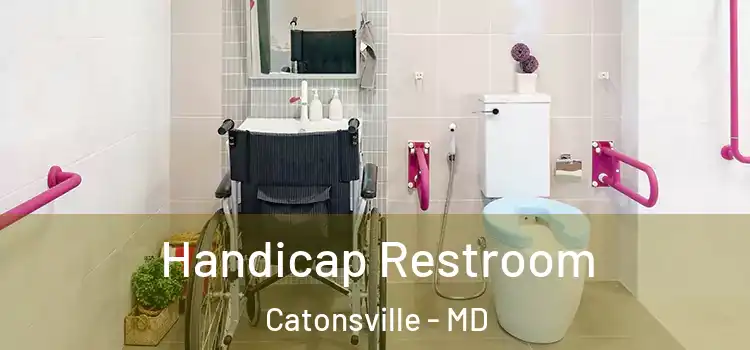 Handicap Restroom Catonsville - MD