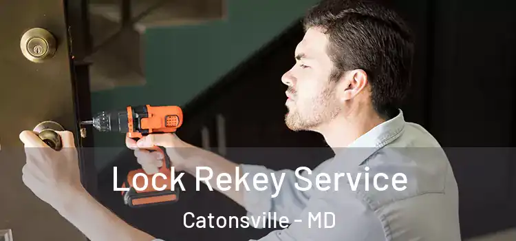  Lock Rekey Service Catonsville - MD
